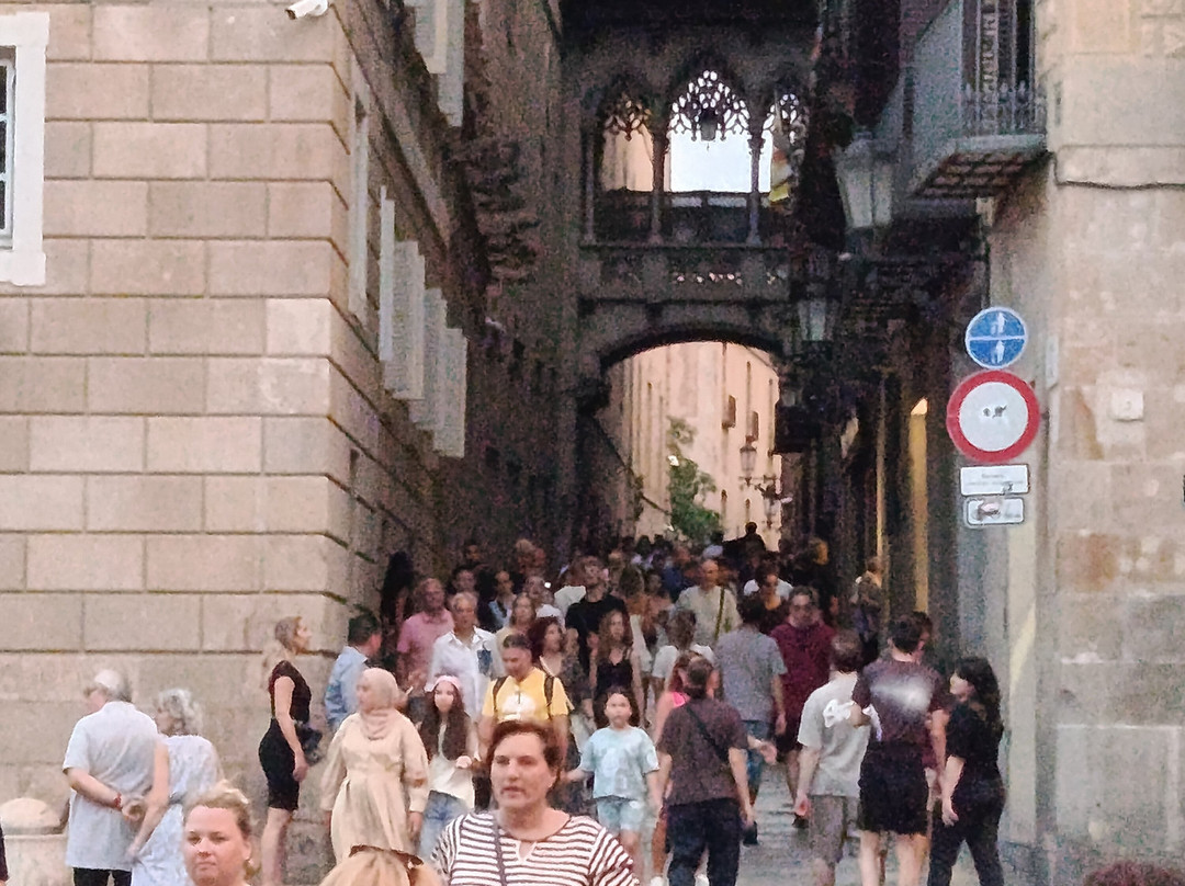 Flipa Barcelona-巴塞罗那必去景点