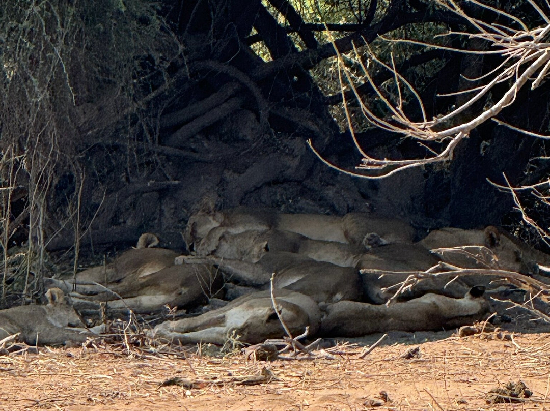 Kalahari Tours-卡萨尼必去景点