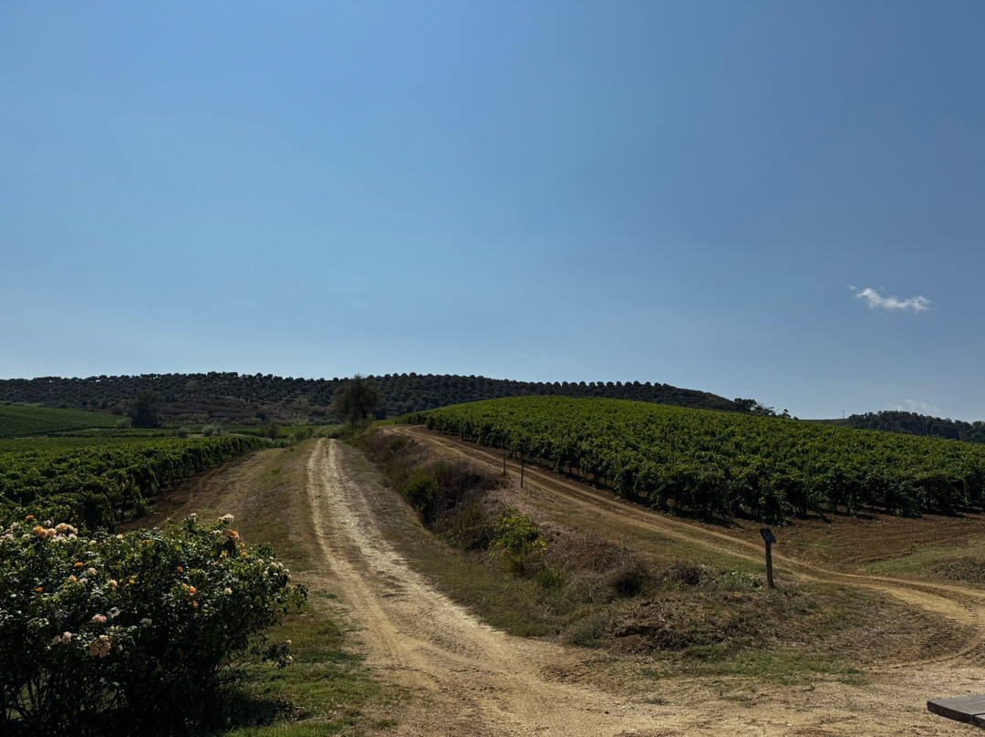 Masseria Pernice