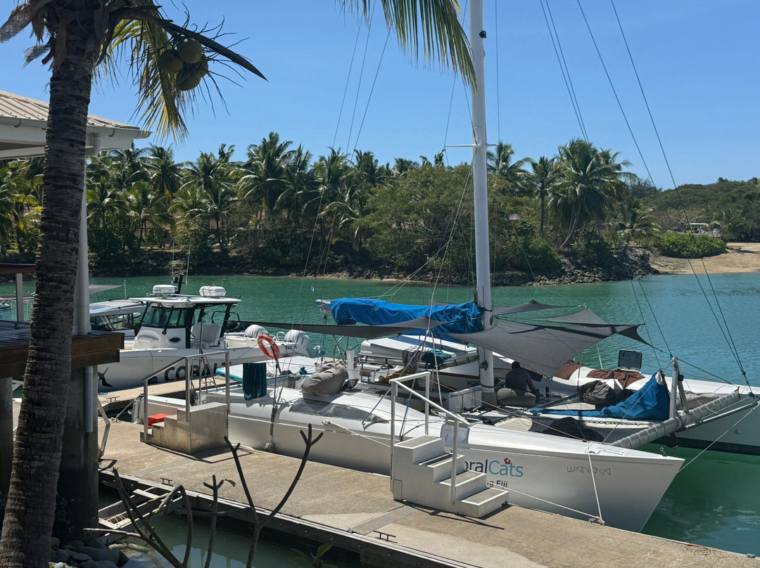 Coral Cats双体船出海一日游-丹娜努岛必去景点