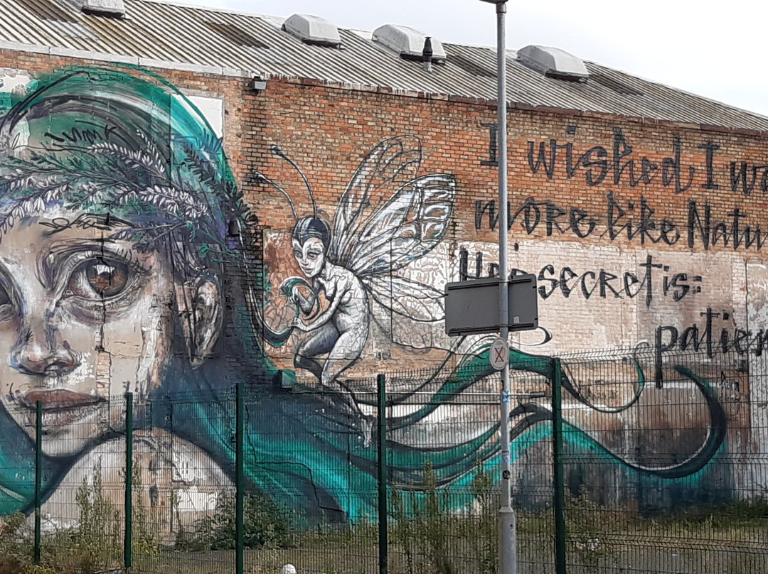 Silvia Ballocchi Guida Turistica-贝尔法斯特必去景点