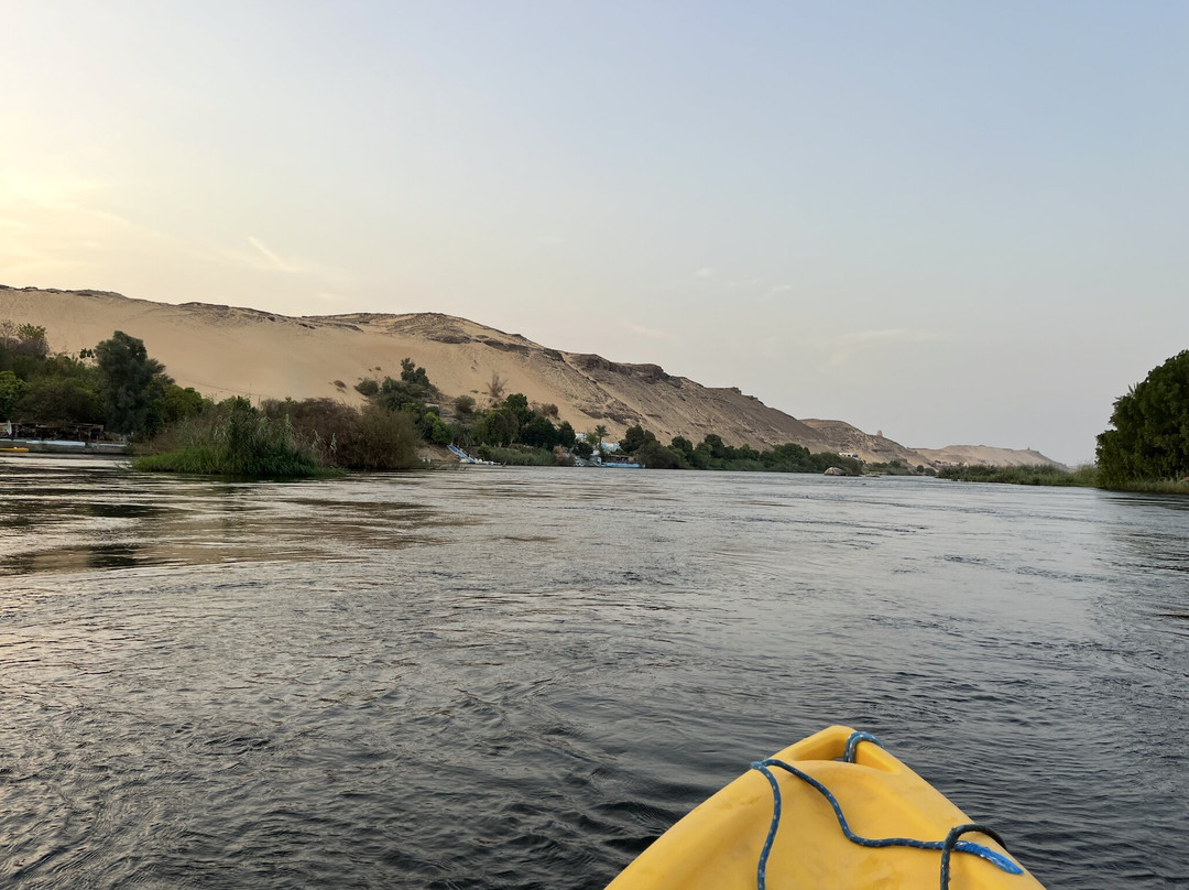 The Mango Guesthouse主图