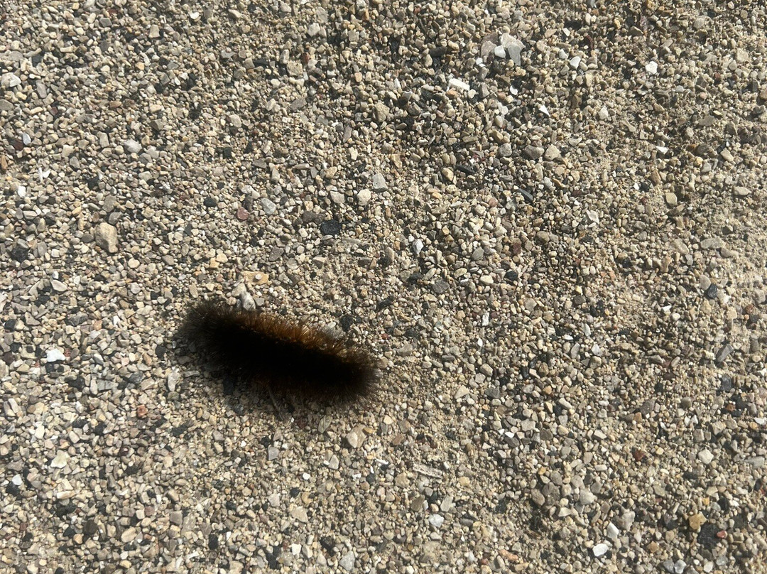 Buffalo Creek Forest  Preserve-Long Grove必去景点