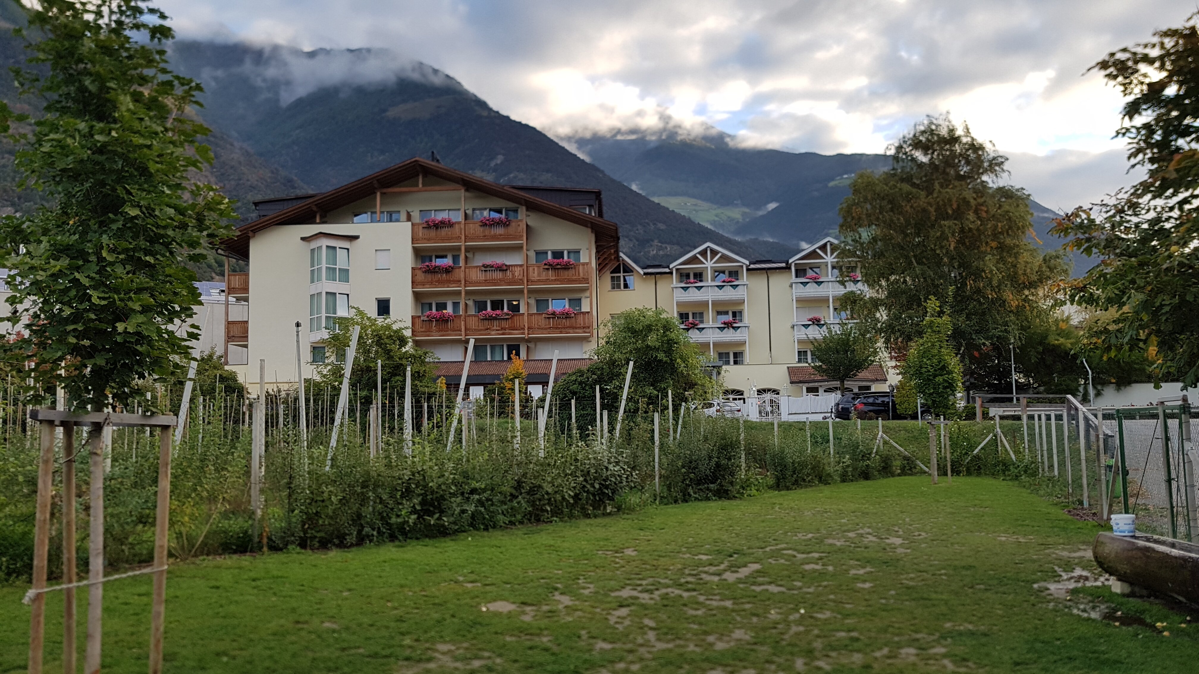 文斯彻尔霍夫酒店-官方