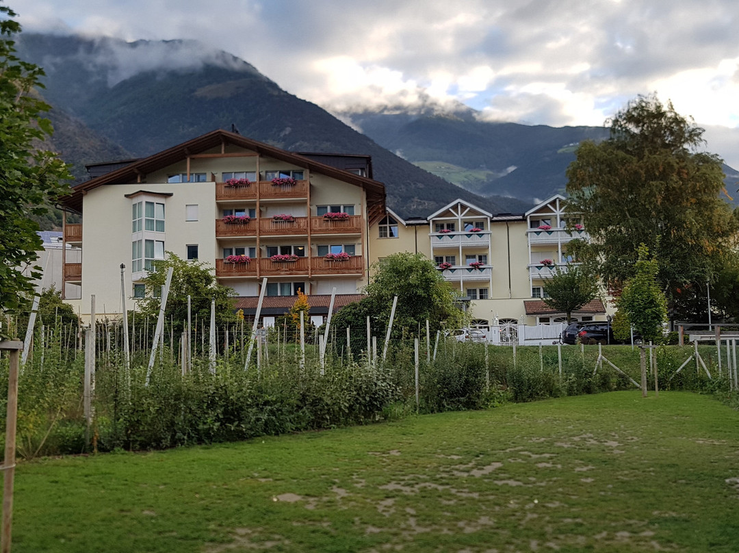 文斯彻尔霍夫酒店主图