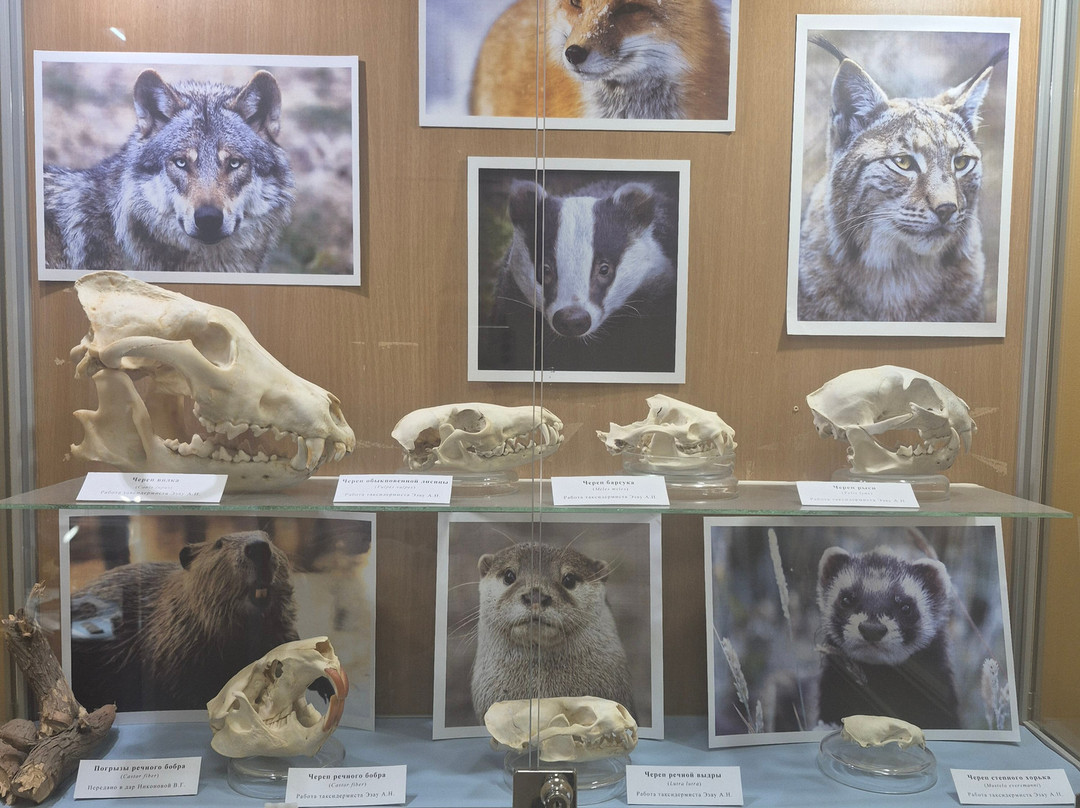 Omsk Museum of Education-鄂木斯克必去景点