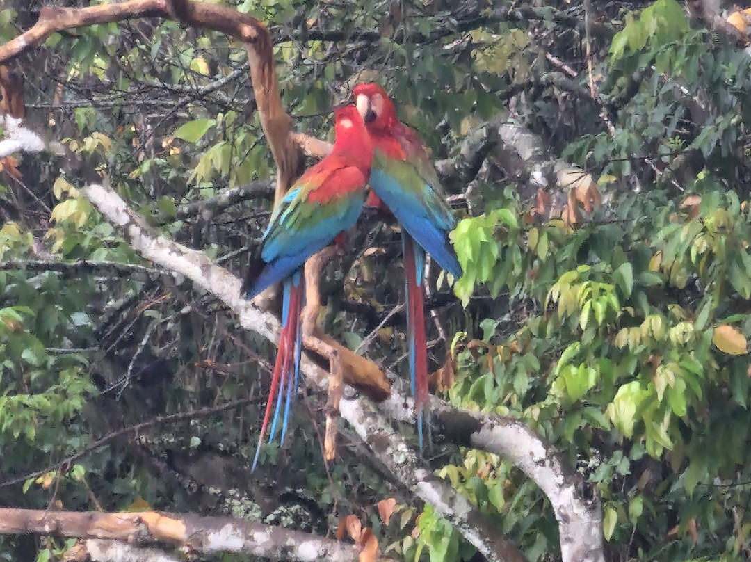 Pantanal Viagens e Turismo-大坎普市必去景点