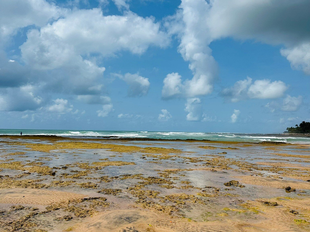 Praia Taipu de Fora-Marau必去景点