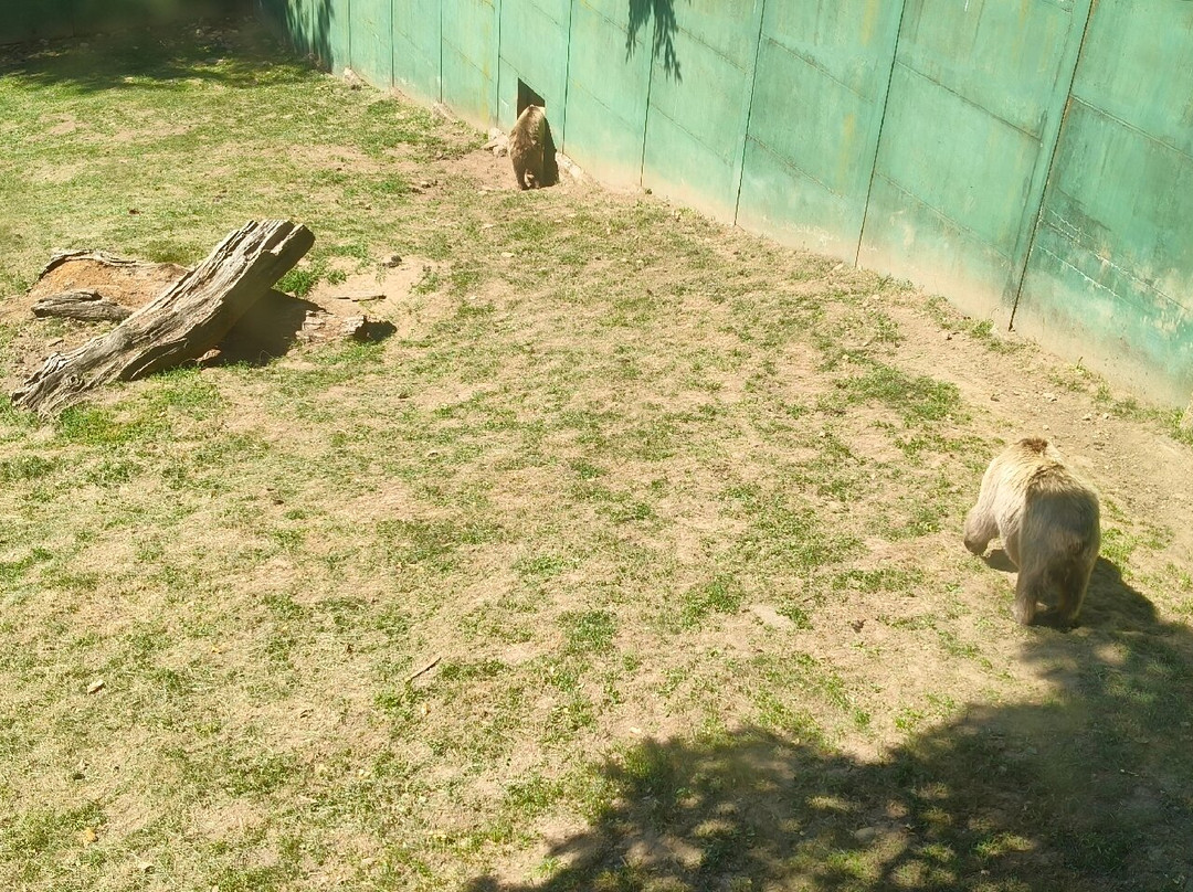 Parco dell'Orecchiella-San Romano in Garfagnana必去景点