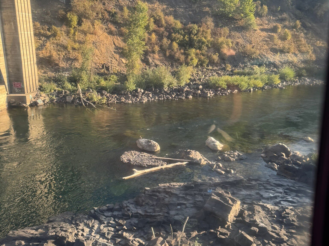 斯波坎瀑布-斯波坎必去景点