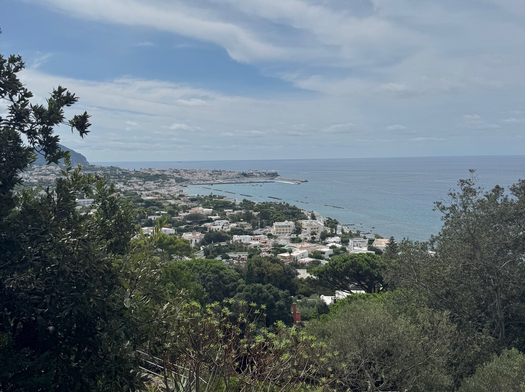 Giardini La Mortella-福里奥必去景点