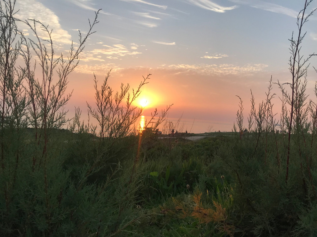 Bar Harlyn-St Merryn必去景点