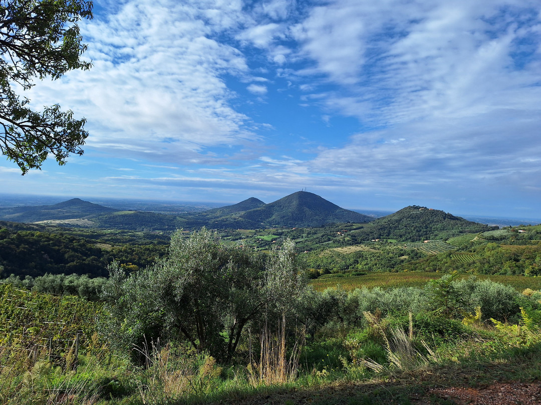 Enoteca Monte Fasolo
