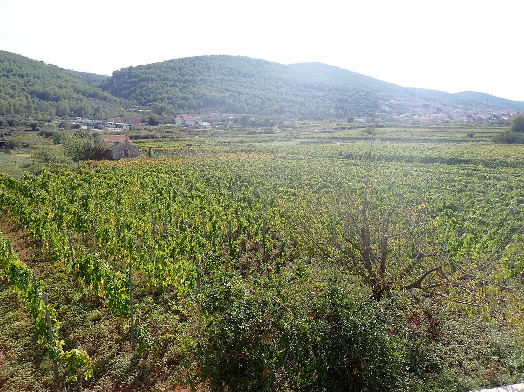 Jovanov Winery-Blato必去景点