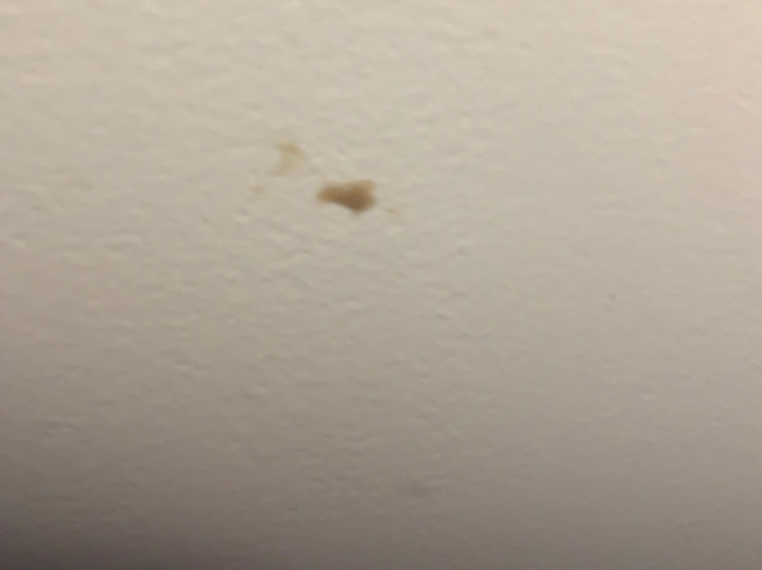 巴尔的摩酒店主图