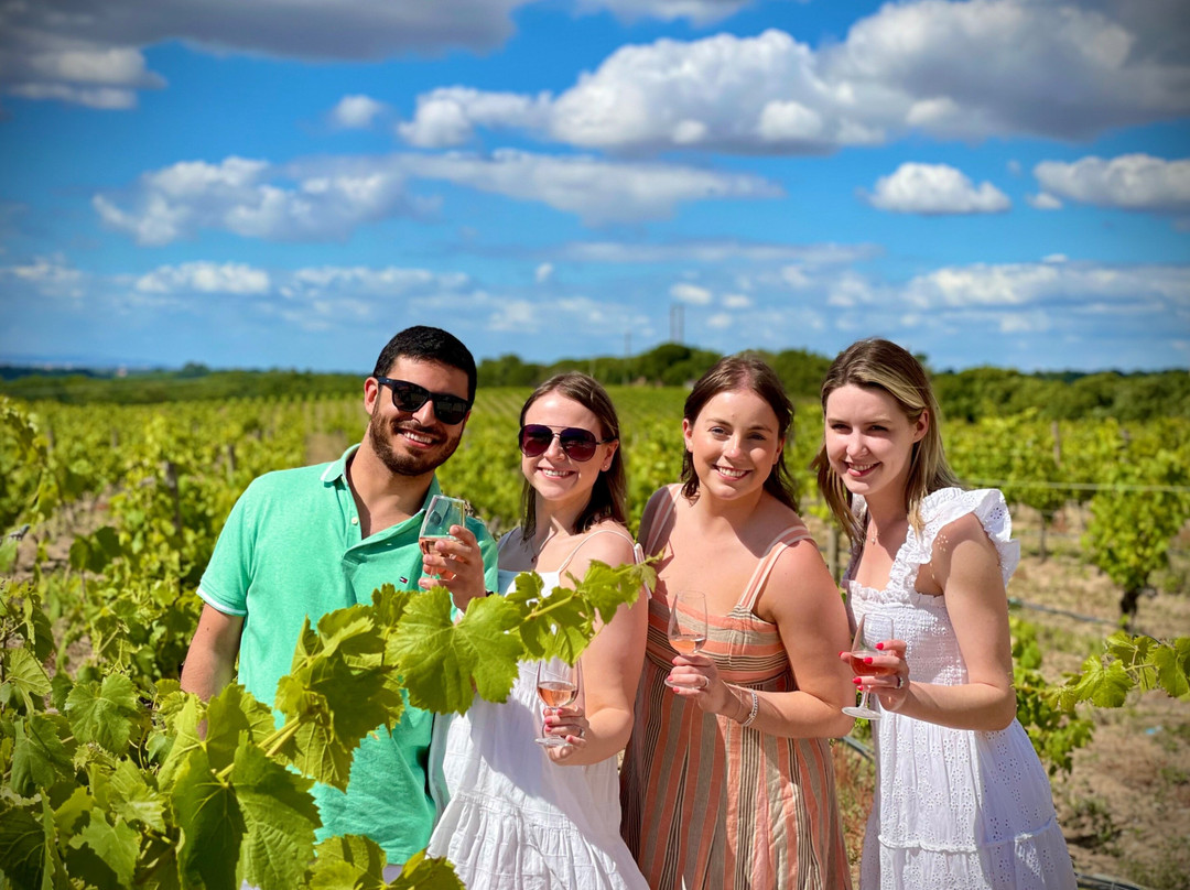 YesExperiences Portugal-塞新布拉必去景点