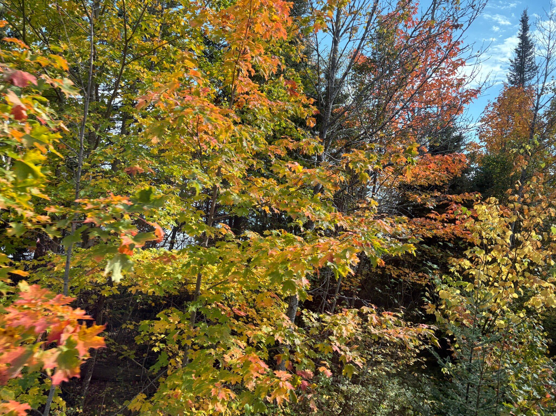 Train de Charlevoix-Baie-St-Paul必去景点