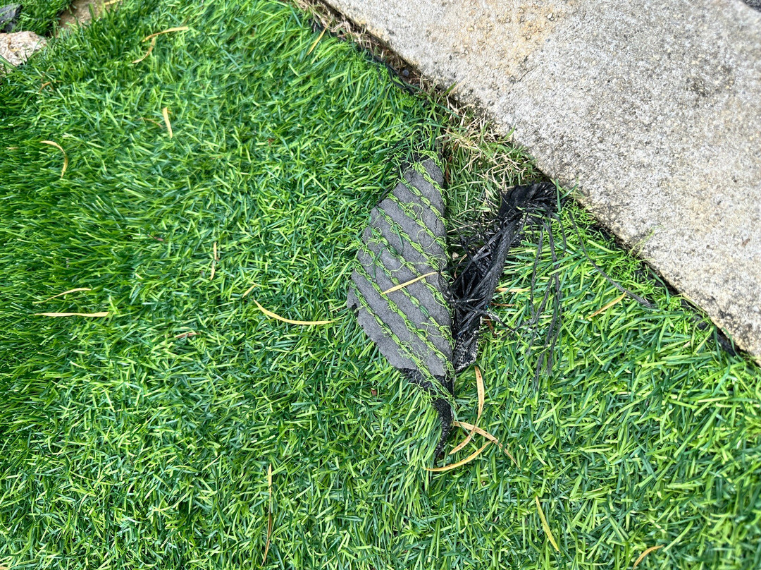 Anjung Floria-太子城必去景点