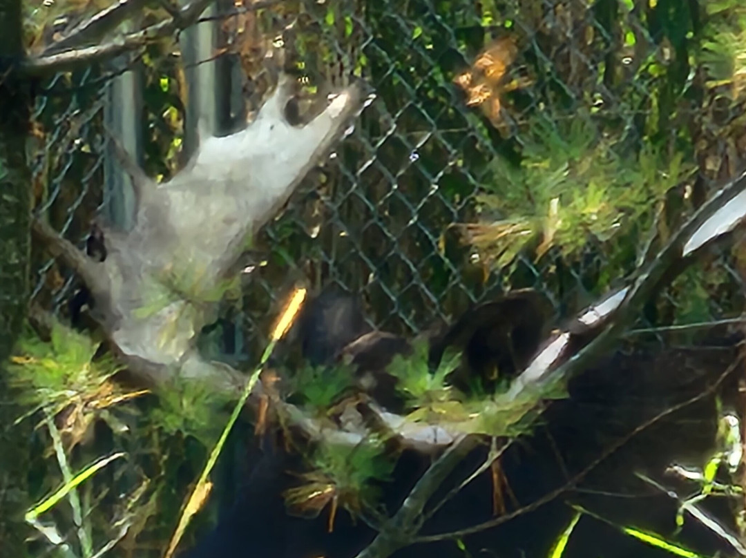 NEW Zoo & Adventure Park-格林贝必去景点