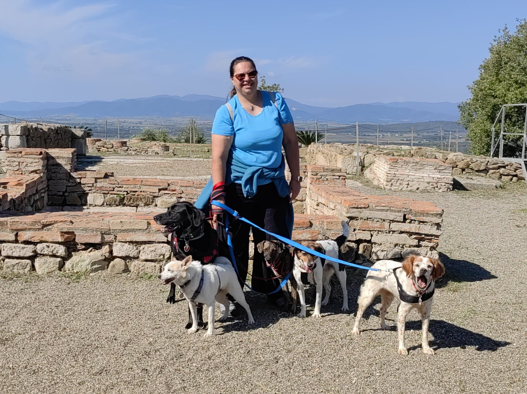 Area Archeologica di Roselle-Bagno Roselle必去景点