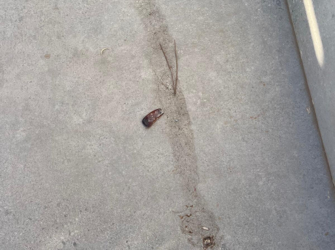 Gran Hotel Alameda主图