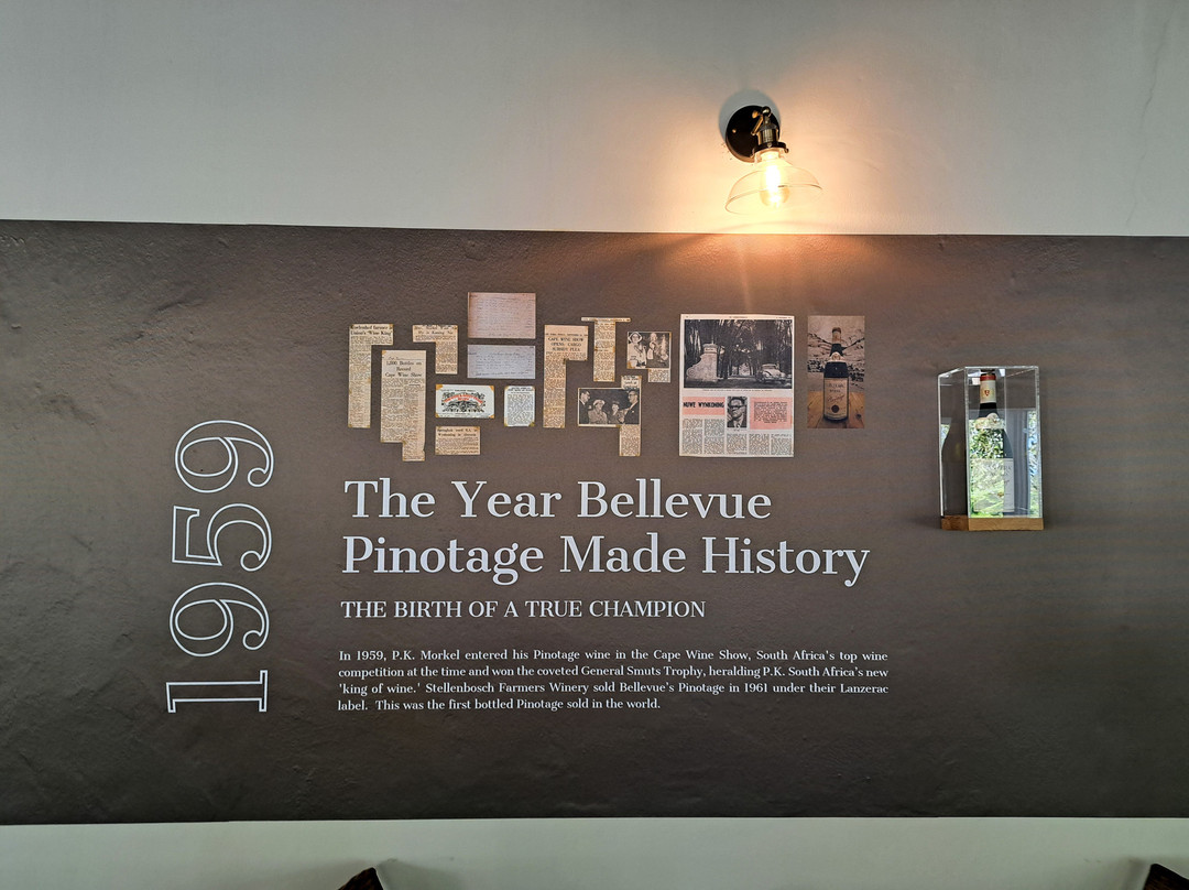 Bellevue Wine Estate-斯泰伦博斯必去景点