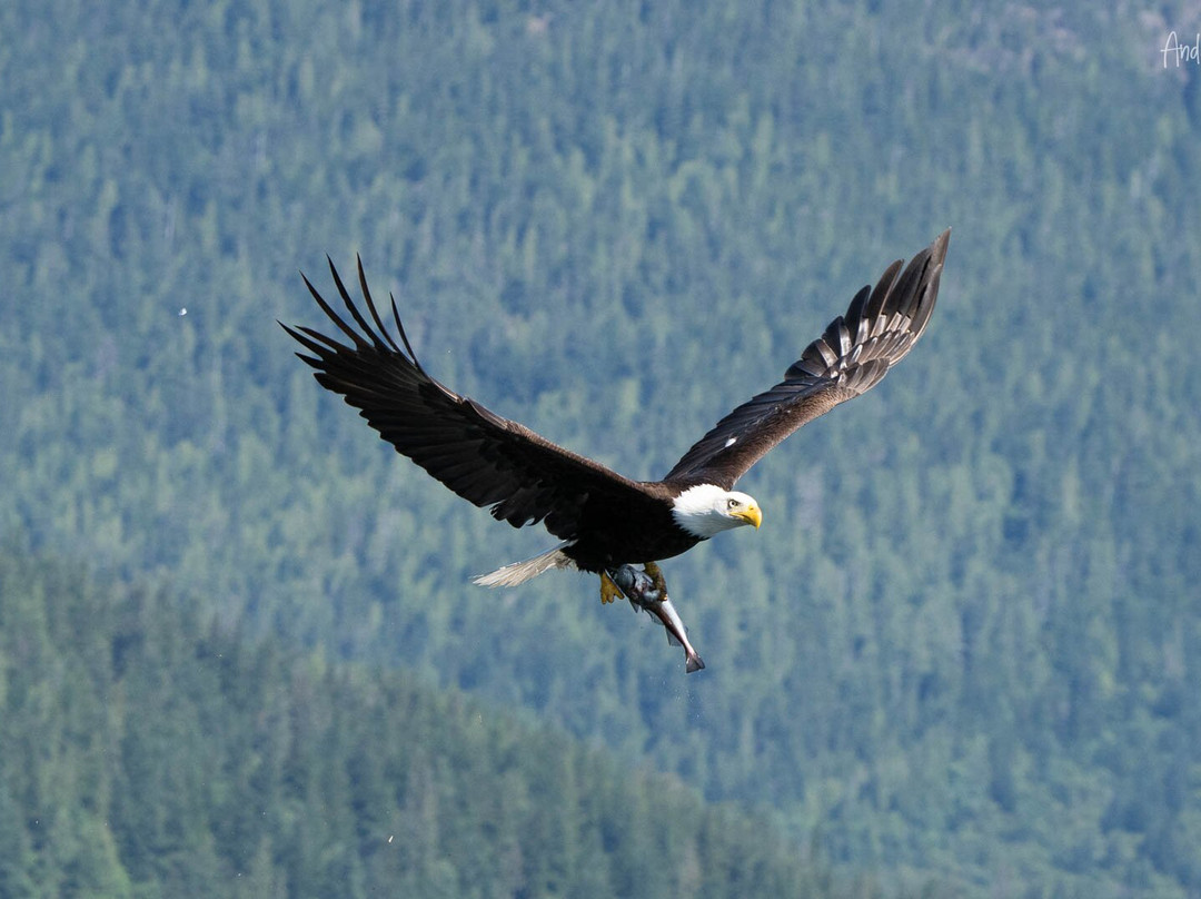 Adventure Quest Tours Canada Inc-坎贝尔里弗必去景点