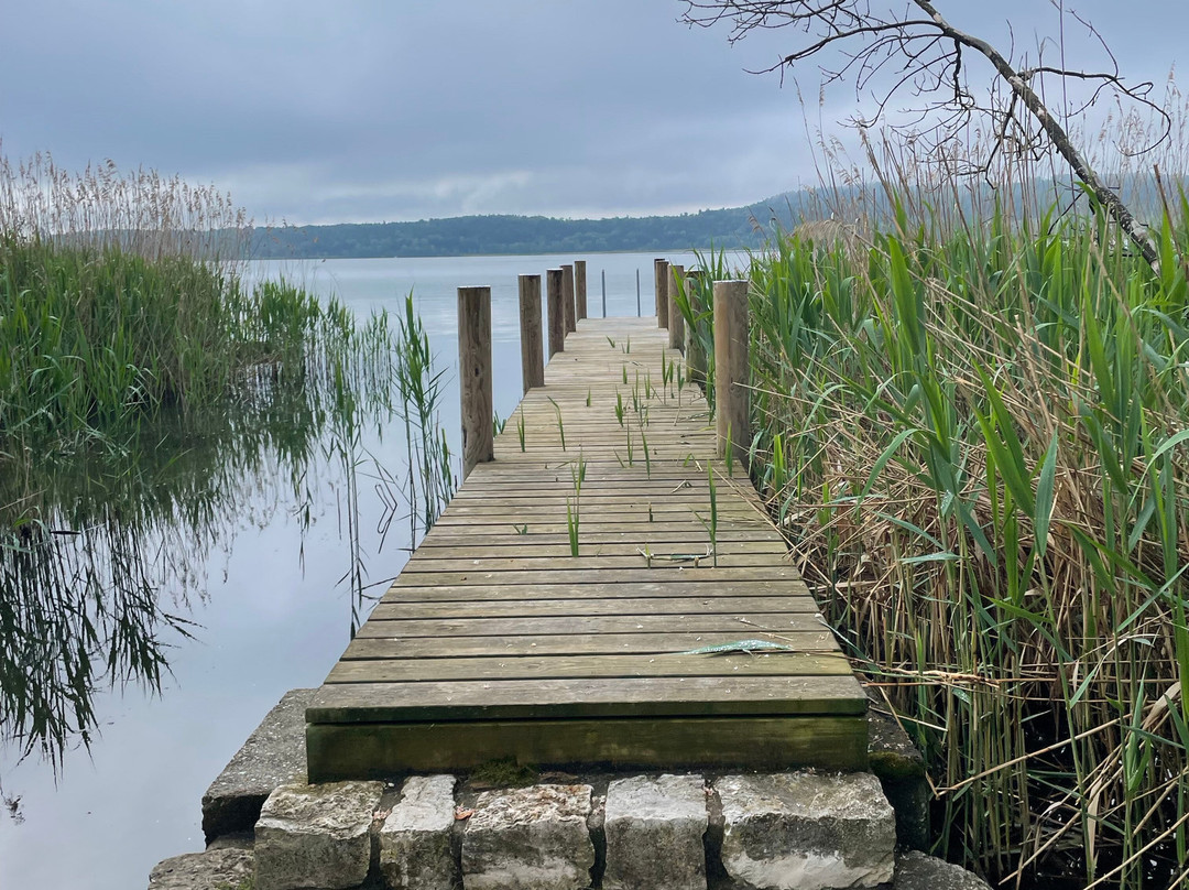 St. Petersinsel-Erlach必去景点