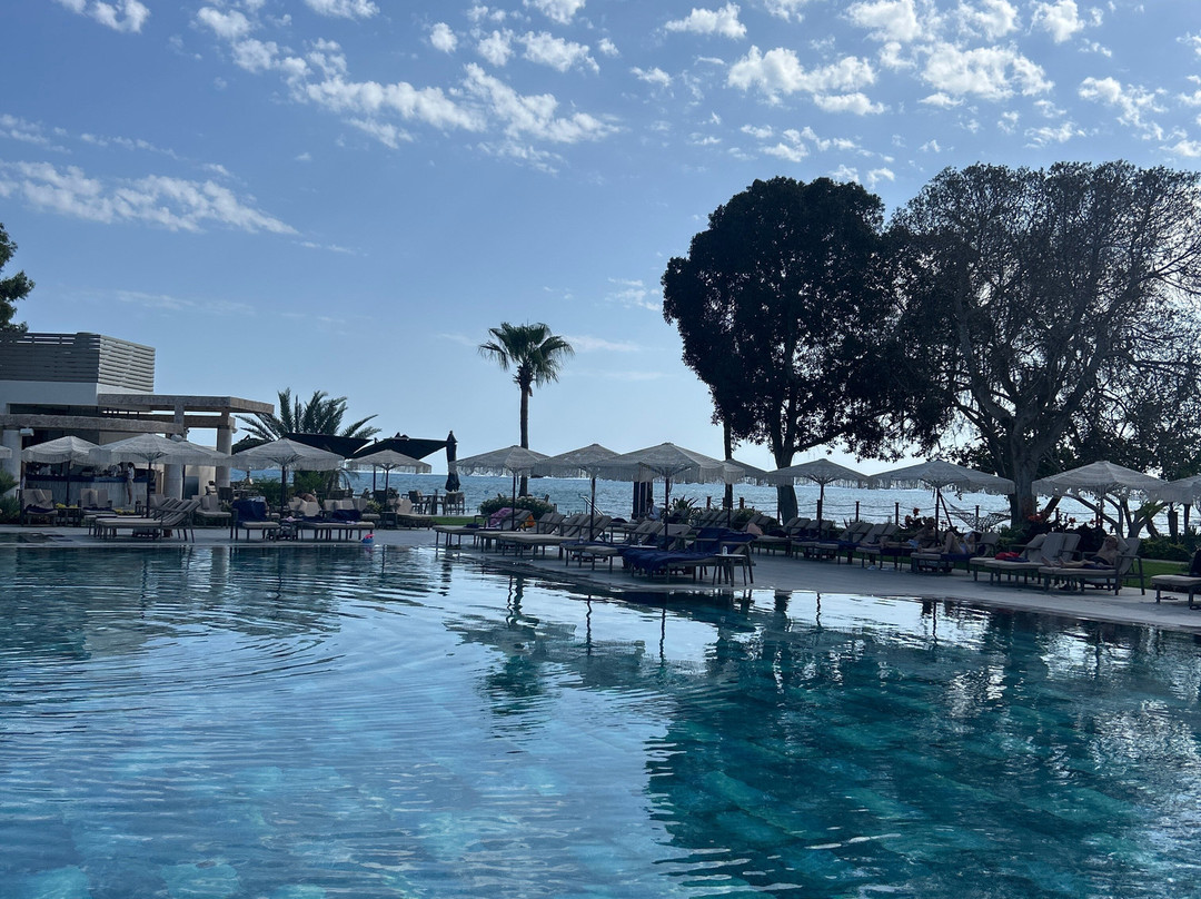 Merit Royal Gardens Hotel & Casino主图