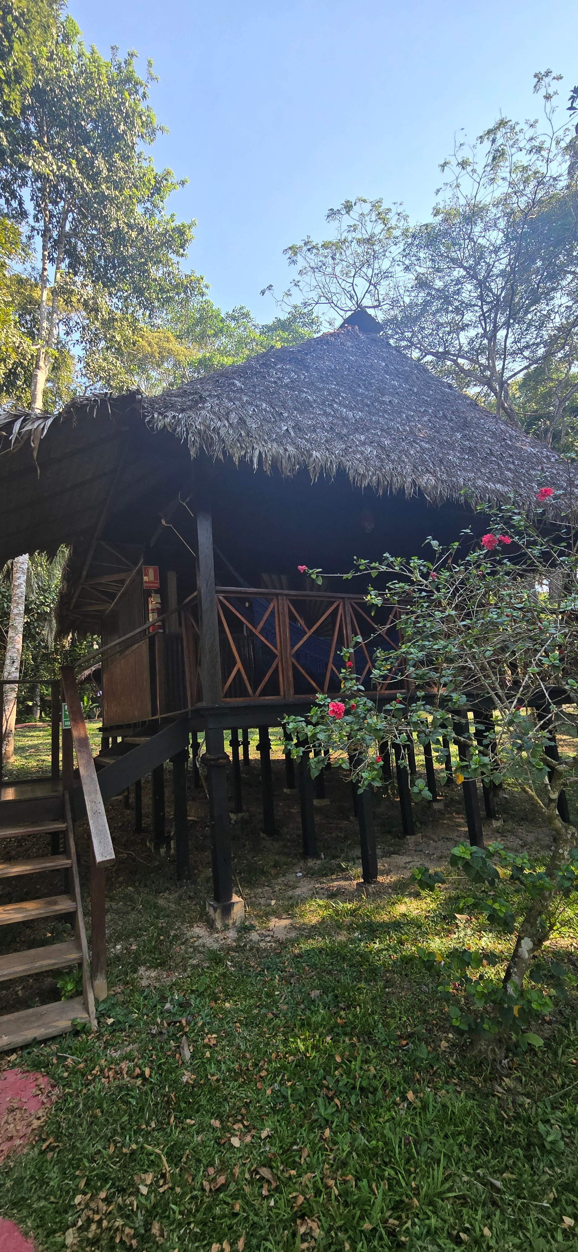 Corto Maltes Amazonia-官方