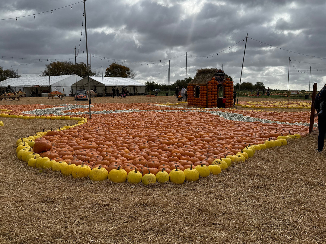 Hatter's Farm-Bishops Stortford必去景点