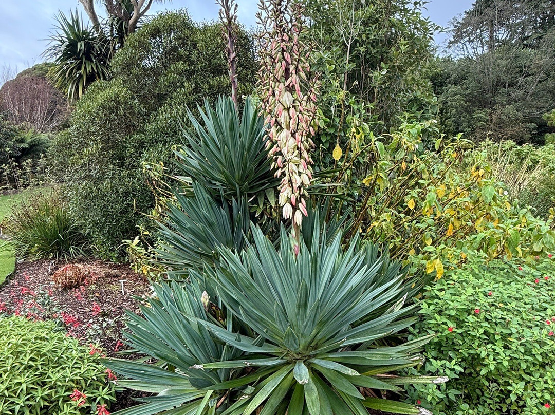 Logan Botanic Garden-Port Logan必去景点