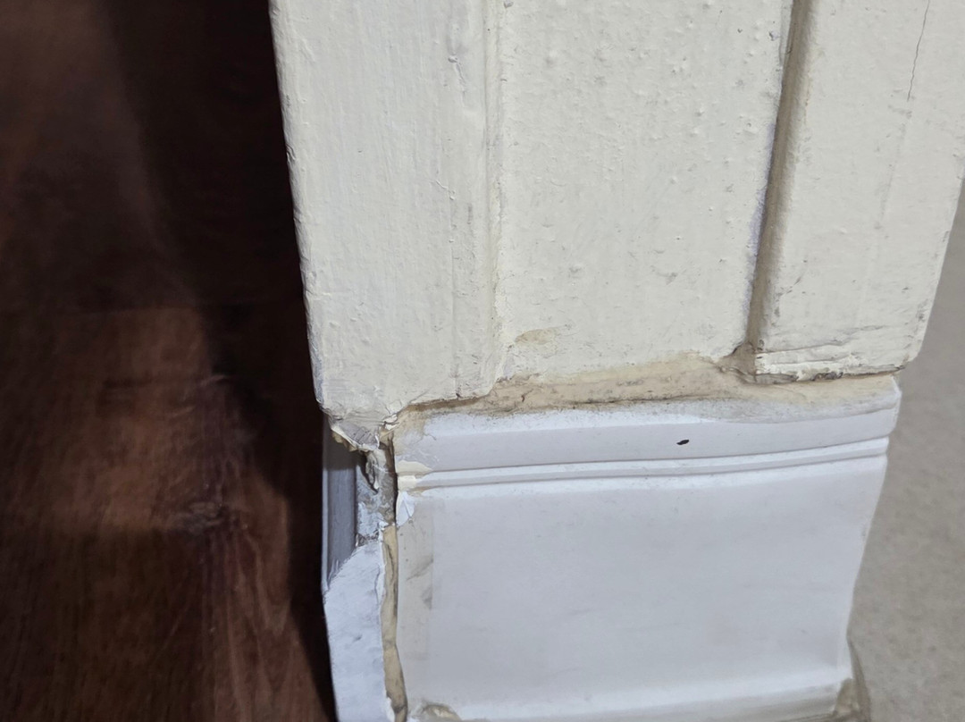 Best Western Plus Northwoods Inn主图