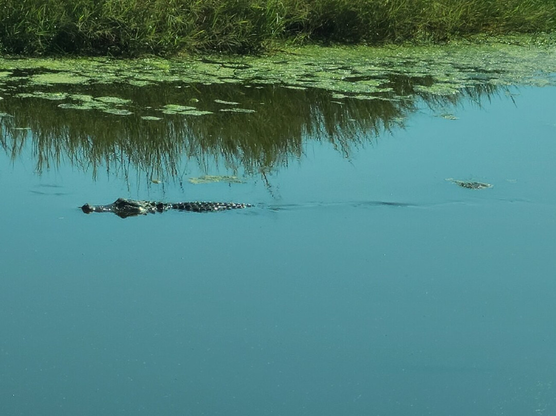 Jocelyn Nungaray National Wildlife Refuge-Anahuac必去景点
