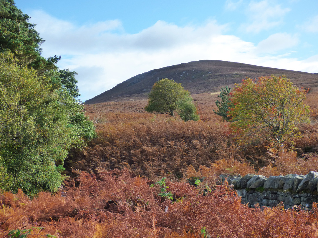Hepple Wilds Estate-Rothbury必去景点