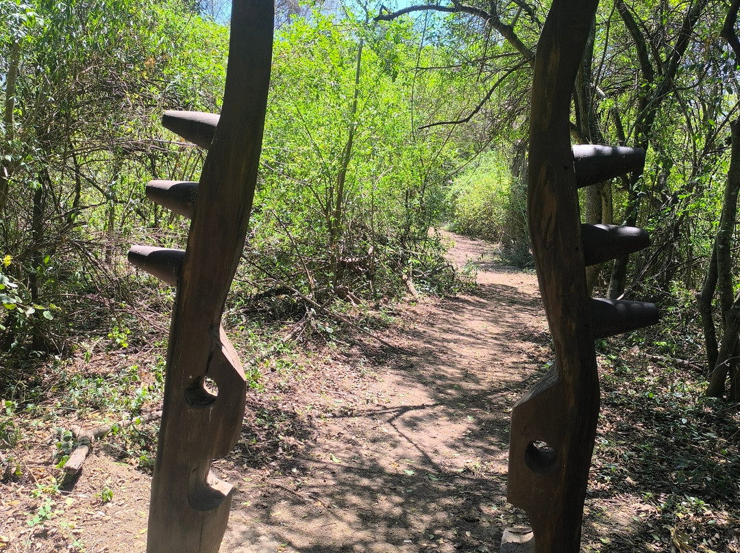 Parque Nacional El Impenetrable-General Guemes必去景点