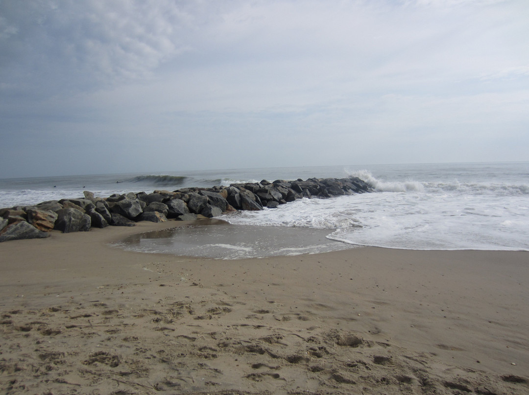 Cape Henlopen State Park-刘易斯必去景点