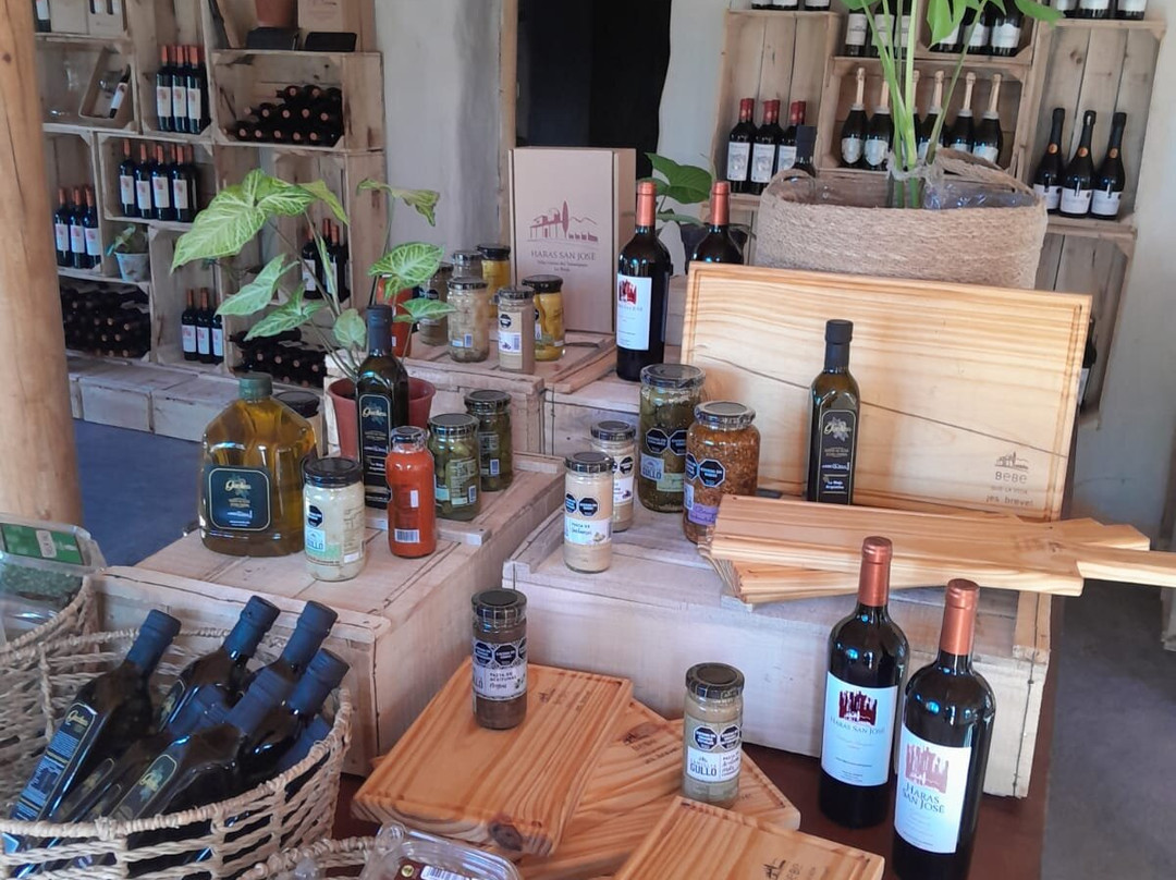 Bodega Artesanal Haras San José-Villa Union必去景点