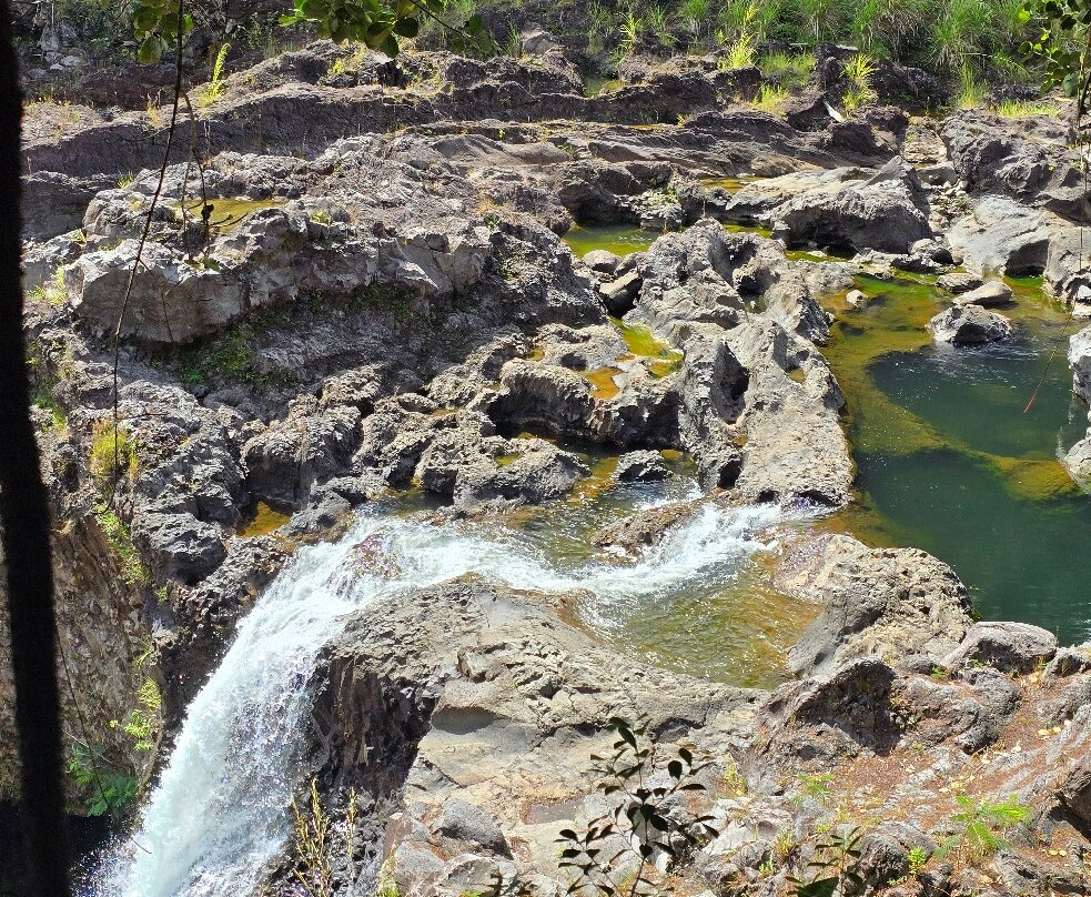 O.k. Farms (the Farm At Rainbow Falls)-希洛必去景点