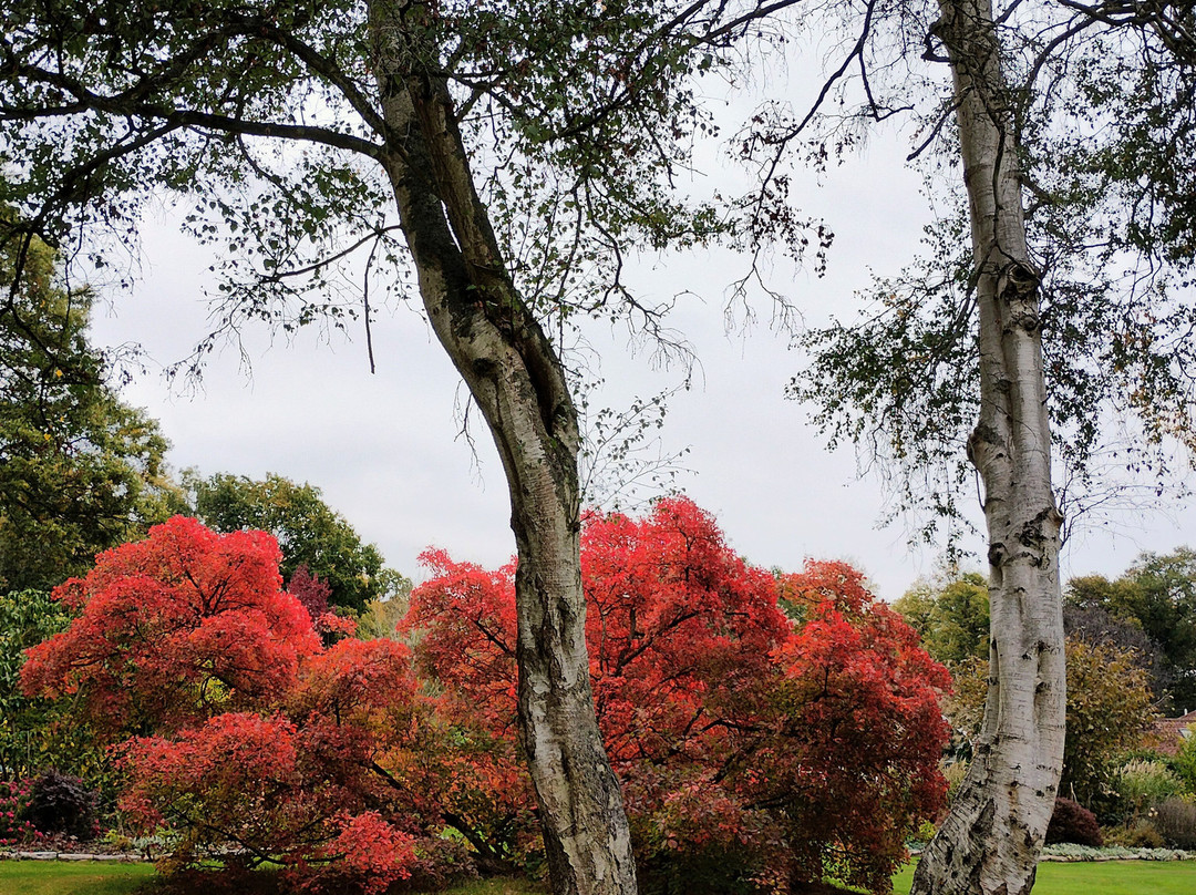 Green Island Gardens-Ardleigh必去景点