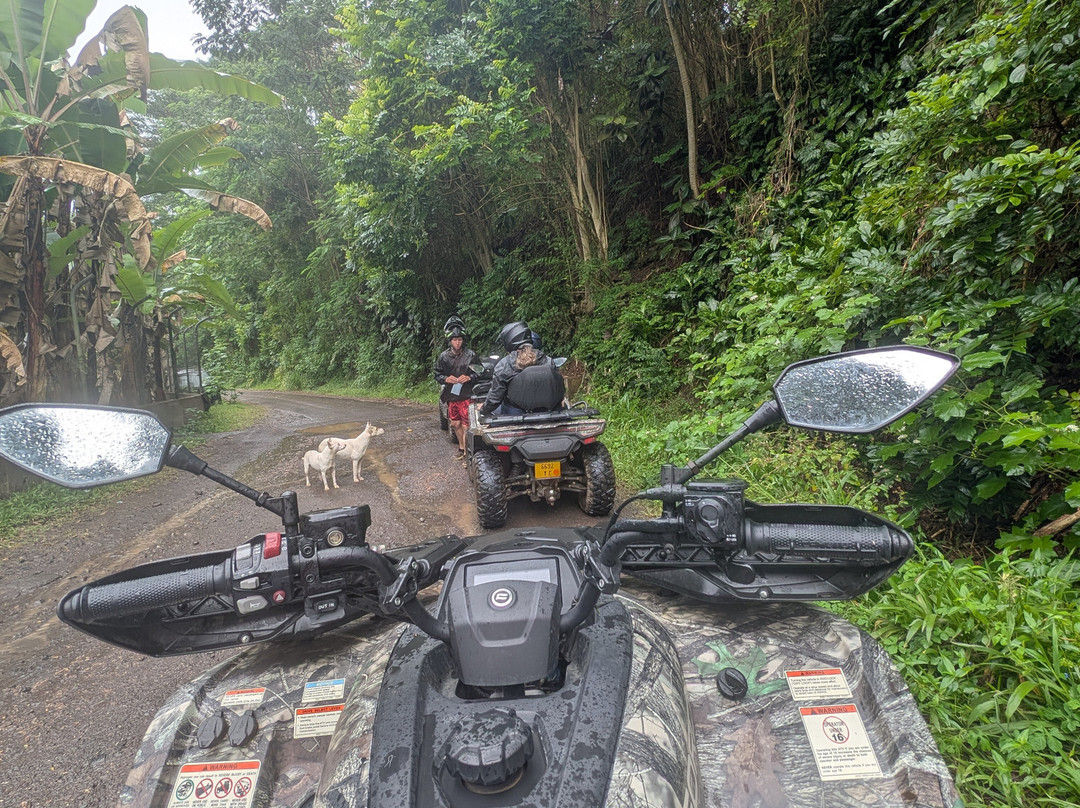 Fenua Aventures-法阿必去景点