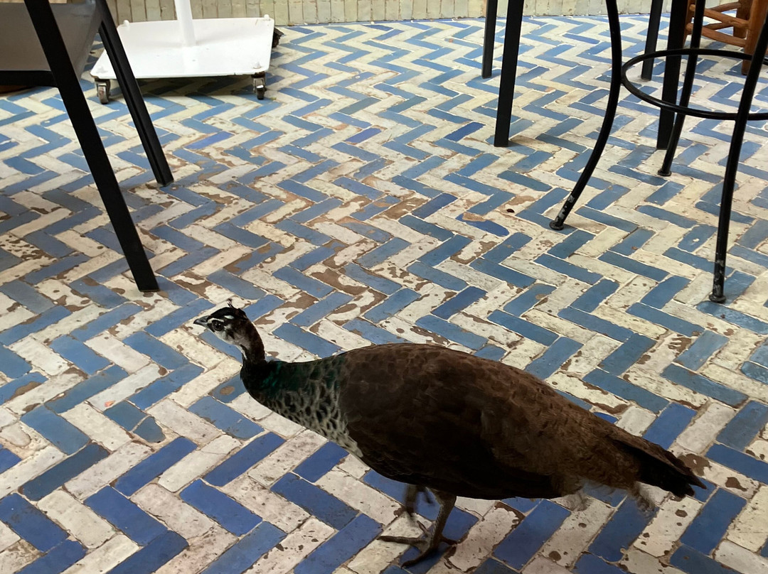 L’Hotel by Chateau de Sable主图