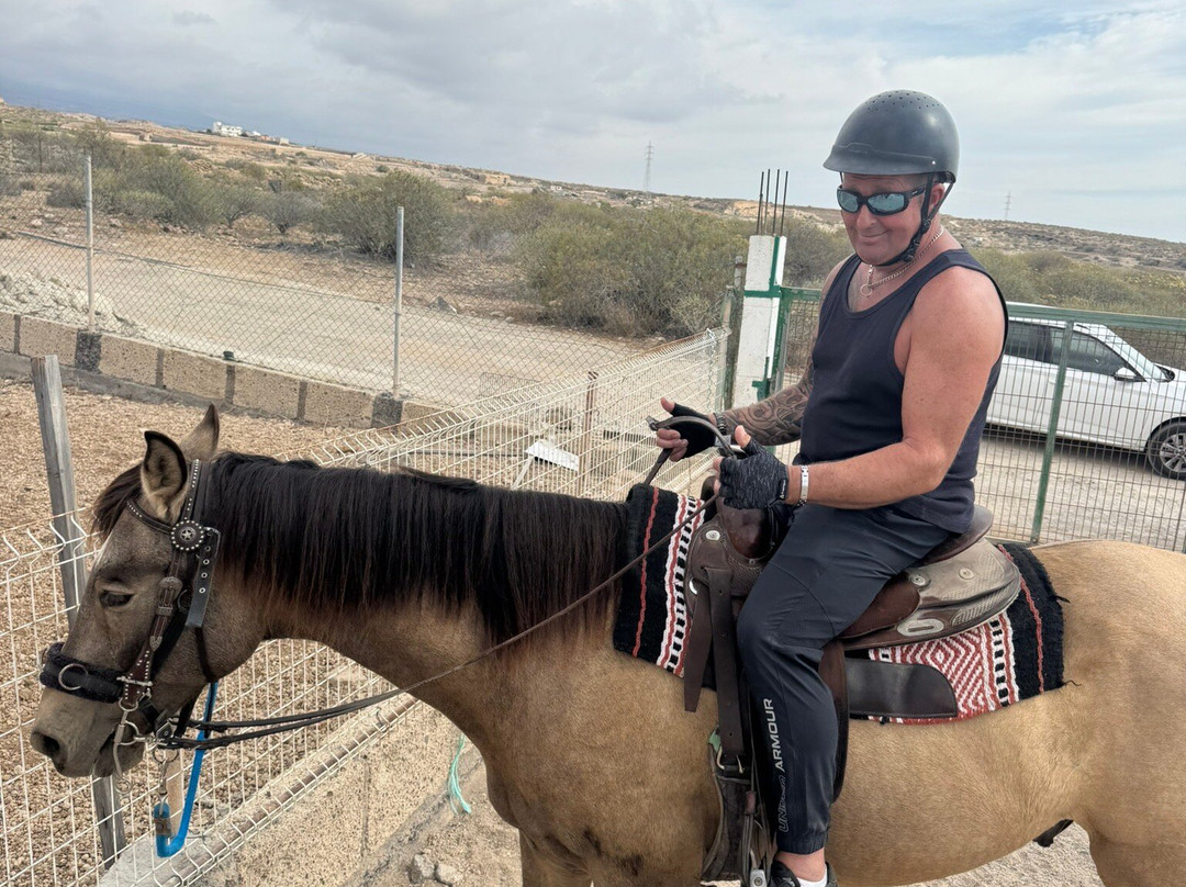 Horse Adventures Tenerife-Granadilla de Abona必去景点