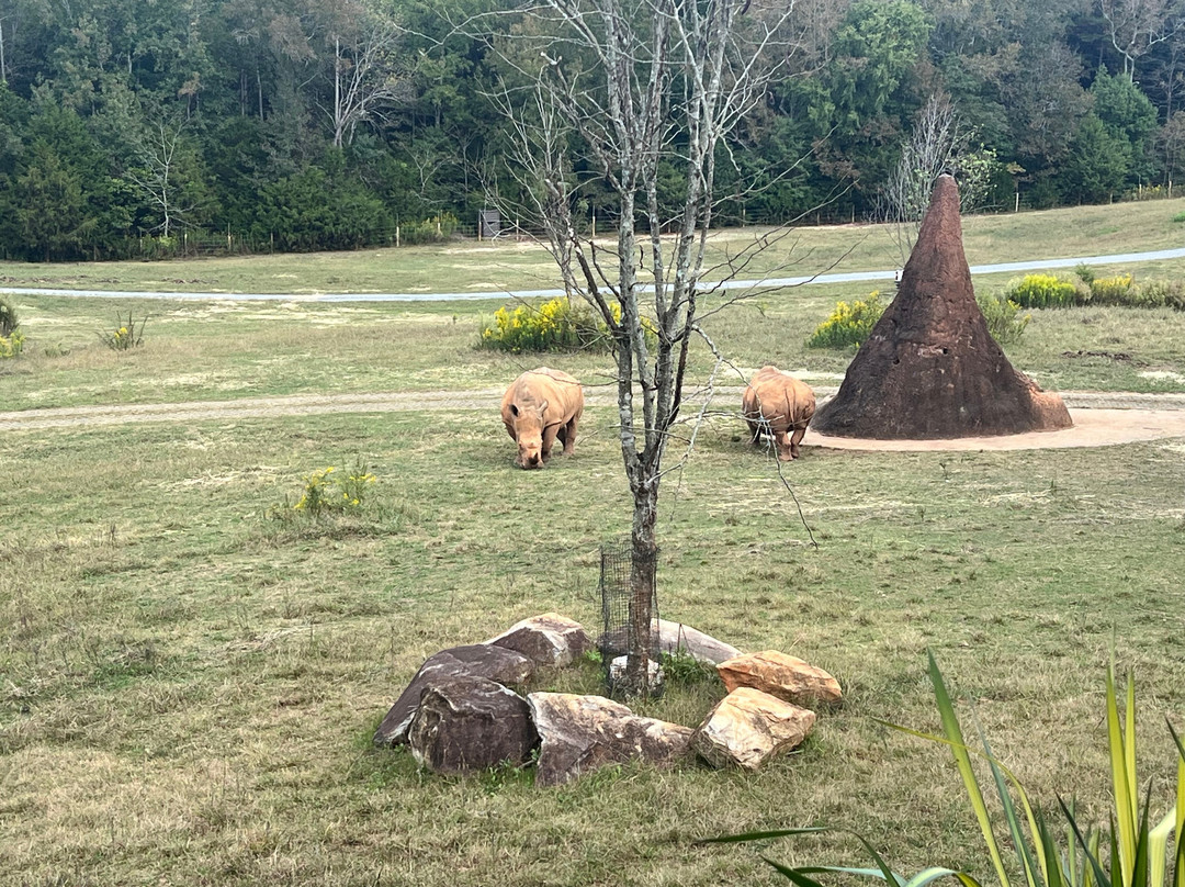 North Carolina Zoo-Asheboro必去景点