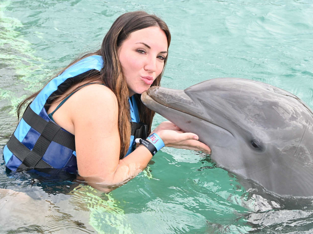 Dolphin Discovery Grand Cayman-西湾必去景点
