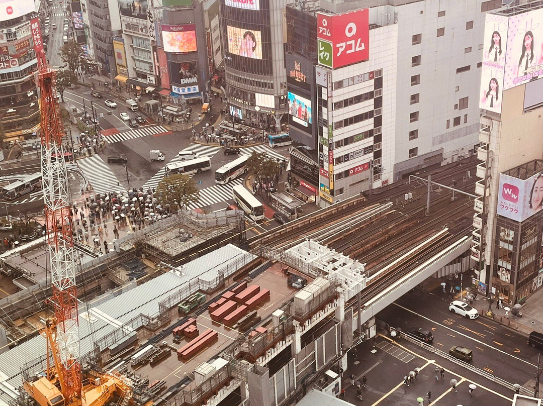 Shibuya Sky-涩谷区必去景点