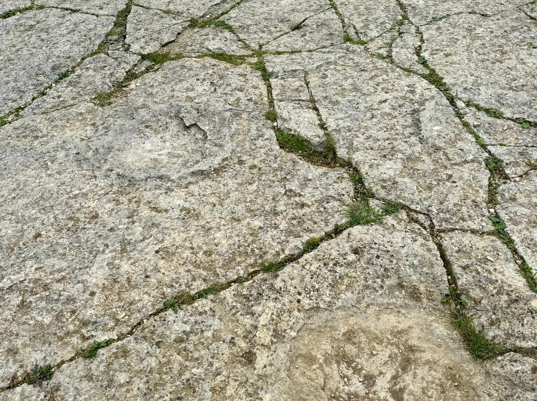 Keates Quarry Dinosaur Footprints-Langton Matravers必去景点