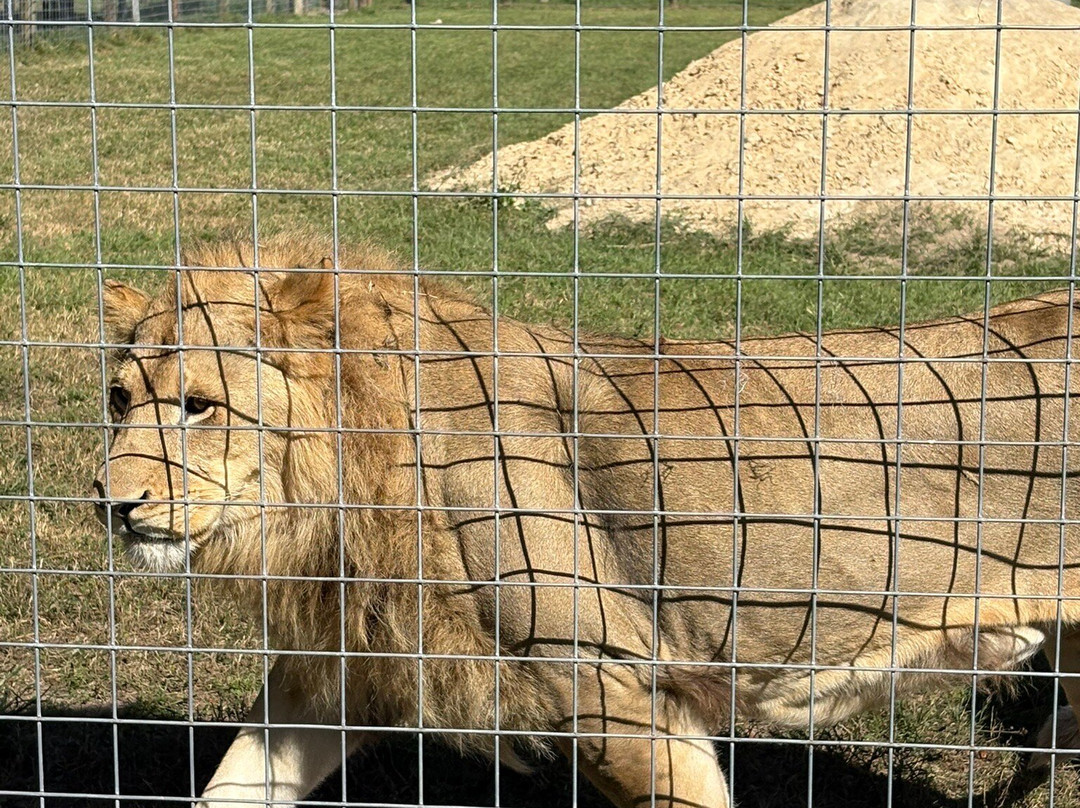 Carson Springs Wildlife Conservation Foundation-盖恩斯维尔必去景点