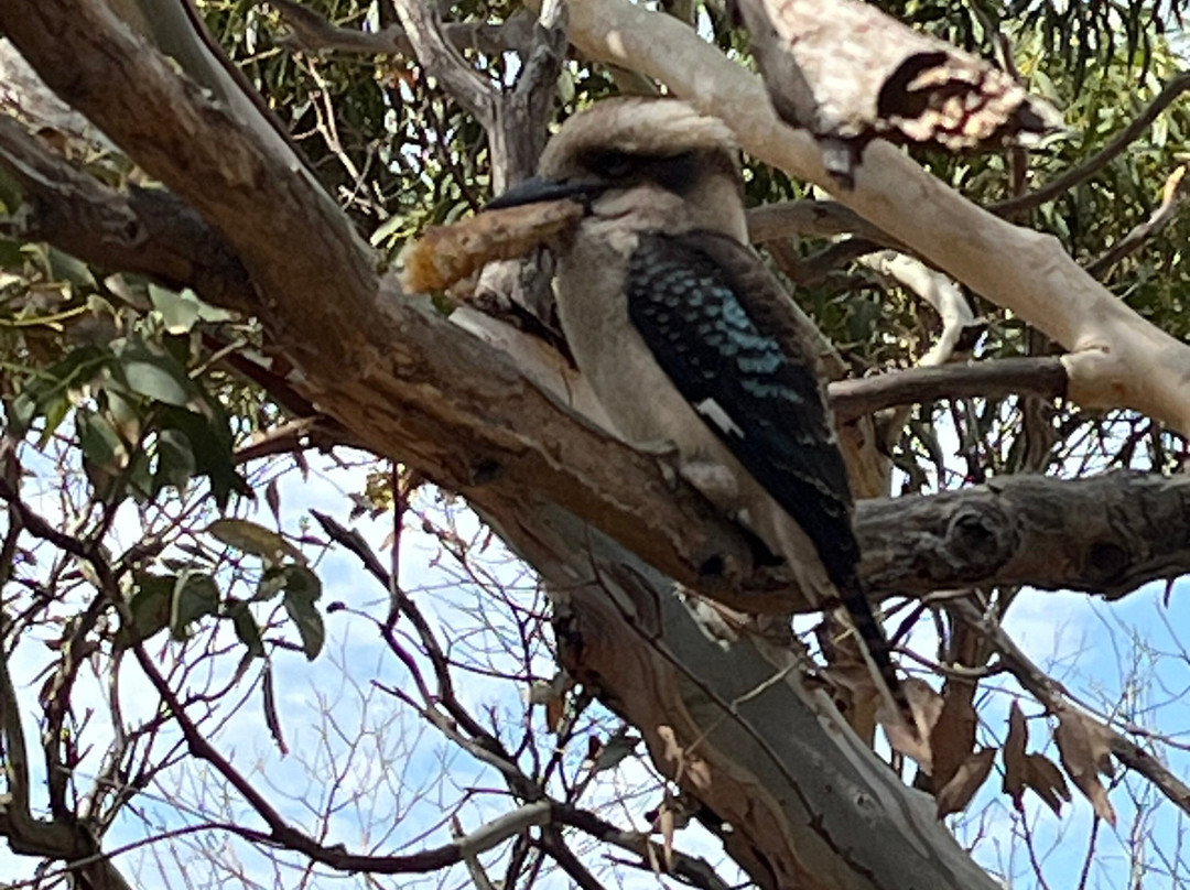 Teddy's Lookout-洛恩必去景点