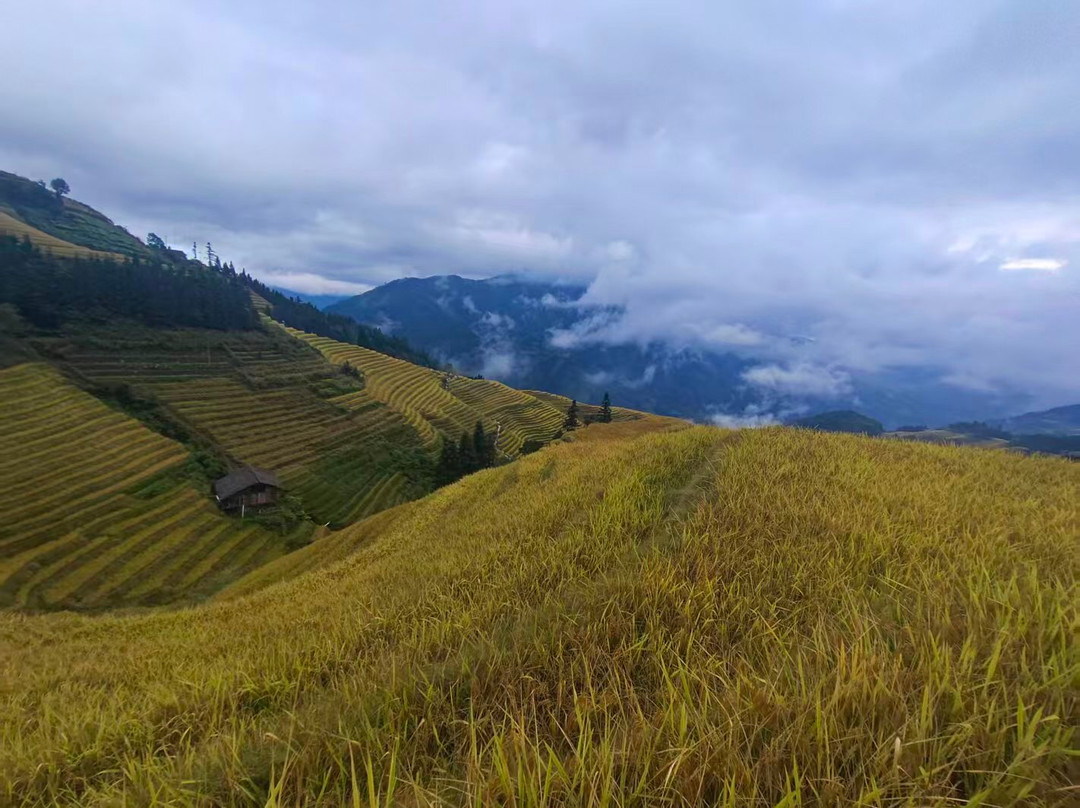 Guilin PrivateTours-桂林市必去景点